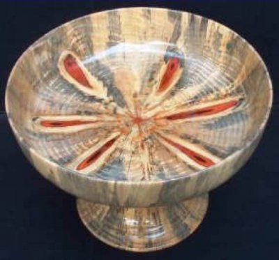 norfolk pine bowl.jpg