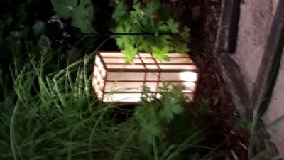 20160819_205300.jpg 20160819_205300.jpg
