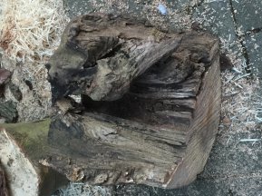 file8.jpg file8.jpg