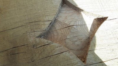 20170324_122942.jpg 20170324_122942.jpg
