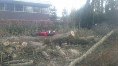 IMG-20170129-WA0017.jpg IMG-20170129-WA0017.jpg