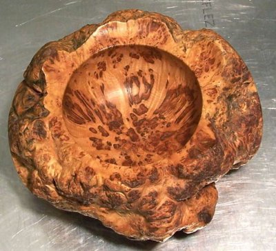 Sugar Maple burl.jpg