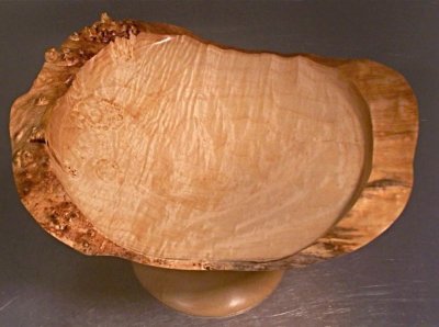 Manitoba Maple spot burl.jpg