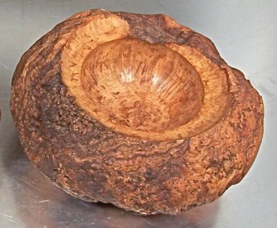 Rock Maple Burl.jpg