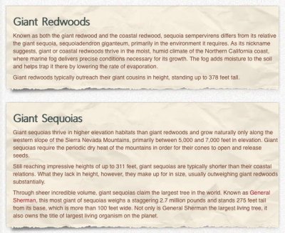 Redwood and Sequoias.jpg