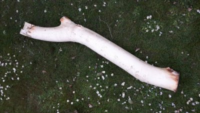 20170511_185014.jpg 20170511_185014.jpg