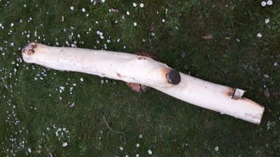 20170511_185041.jpg 20170511_185041.jpg