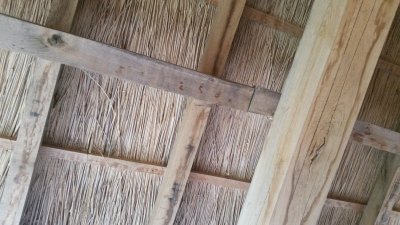 20170609_172429.jpg
