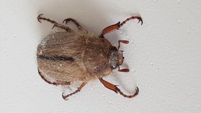 20170614_103500.jpg 20170614_103500.jpg