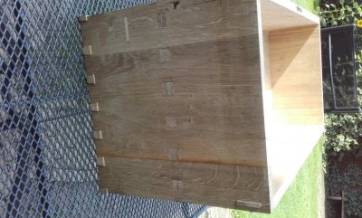 20170820_105204.jpg 20170820_105204.jpg