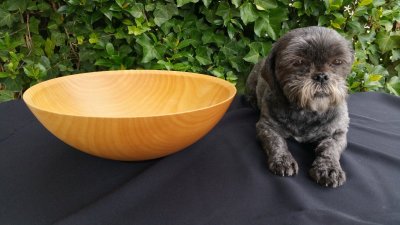 20170820_165815.jpg 20170820_165815.jpg