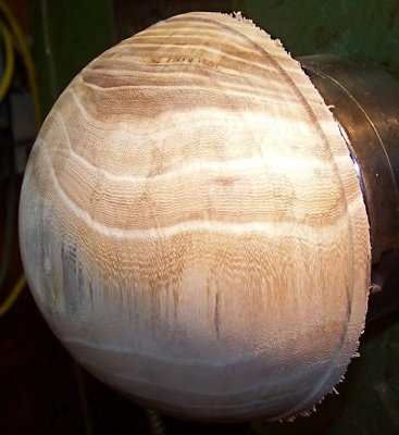 Elm zigzag grain.jpg