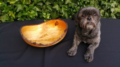 20170827_182944.jpg 20170827_182944.jpg