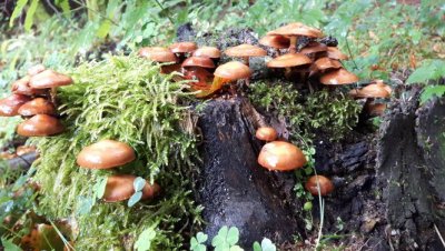 20170831_142703.jpg 20170831_142703.jpg