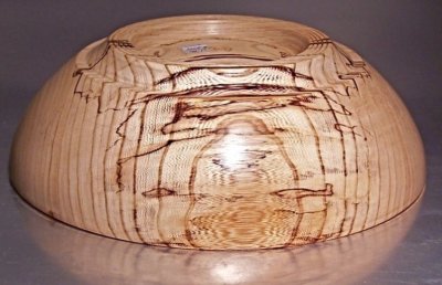 spalted Elm.jpg