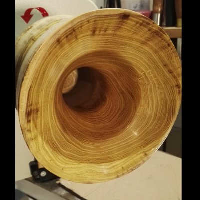 Acacia-bolpoot-003.jpg Acacia-bolpoot-003.jpg
