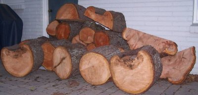 Black Cherry log.jpg