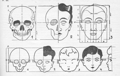 A studie van het meselijk hoofd de schedel.jpg