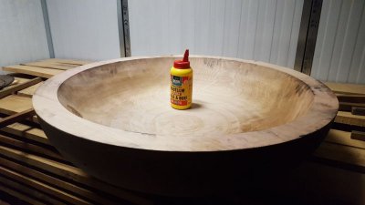 IMG-20180227-WA0023.jpg IMG-20180227-WA0023.jpg