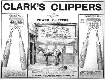 clarks_clippers.jpg