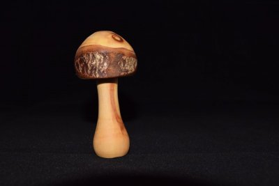 small_natural_mushroom_2.jpg