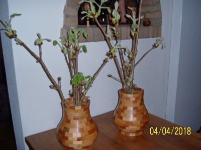 100_2207.jpg
