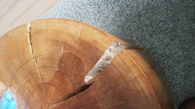 20180405_160854.jpg