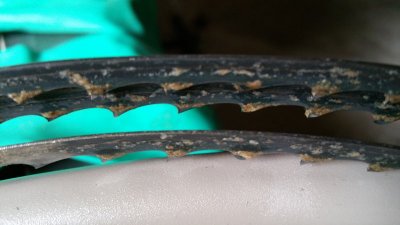 20180408_105919.jpg 20180408_105919.jpg