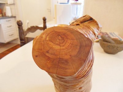 Torso olijvenhout 2.jpg