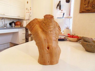 Torso olijvenhout 3.jpg