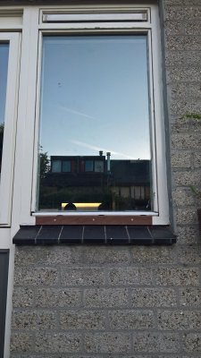 WP_20180909_19_00_01_Rich.jpg WP_20180909_19_00_01_Rich.jpg