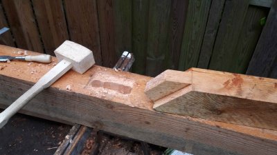 IMG-20180428-WA0010.jpg IMG-20180428-WA0010.jpg