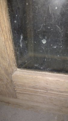 IMG_20180819_193639570.jpg IMG_20180819_193639570.jpg