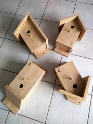 vogelhuisjes 9 december 2018.jpg vogelhuisjes 9 december 2018.jpg