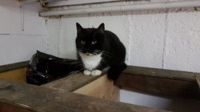 IMG-20190116-WA0017.jpg IMG-20190116-WA0017.jpg