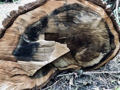 20190417_144304345_iOS.jpg 20190417_144304345_iOS.jpg