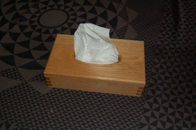 Tissue Box 1.jpg