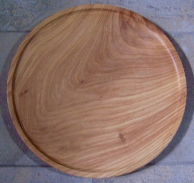 40cm White Elm.jpg 40cm White Elm.jpg