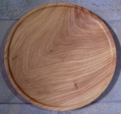 40cm White Elm.jpg