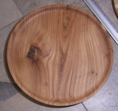 48cm Siberian Elm.jpg 48cm Siberian Elm.jpg