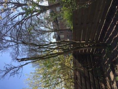 IMG_5362.jpg IMG_5362.jpg