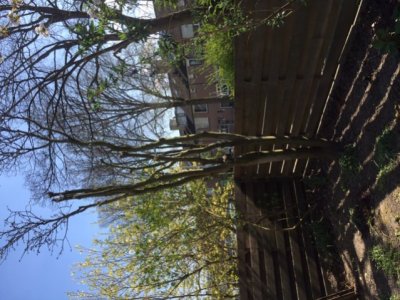 IMG_5359.jpg IMG_5359.jpg