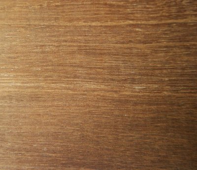 hout01.jpg