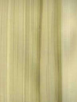 Yellow Poplar hout kleur.jpg