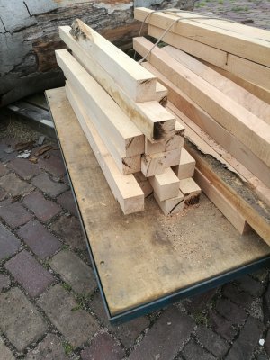 iepen balkjes.jpg iepen balkjes.jpg