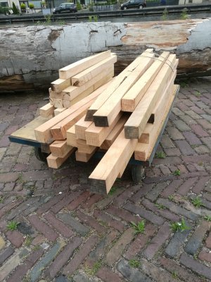 beuken balkjes.jpg beuken balkjes.jpg