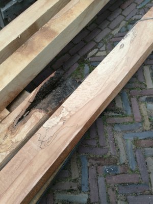 converteerbaar kaas Peave Te koop beuken balken 150 x 150 mm met slaap | Woodworking.nl