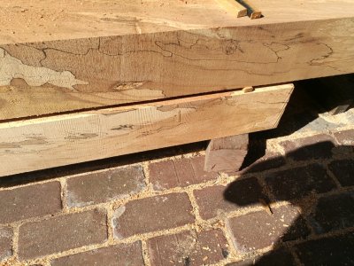 hout 21-9 2.jpg