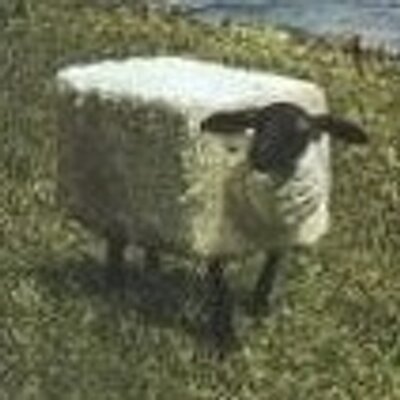 SquareSheep_400x400.jpg