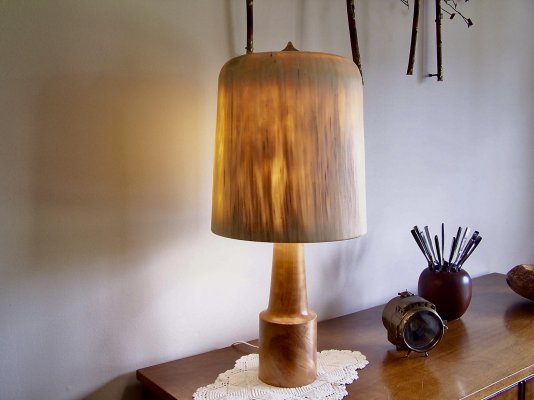 Aspen shade on Black Cherry lamp.jpg Aspen shade on Black Cherry lamp.jpg